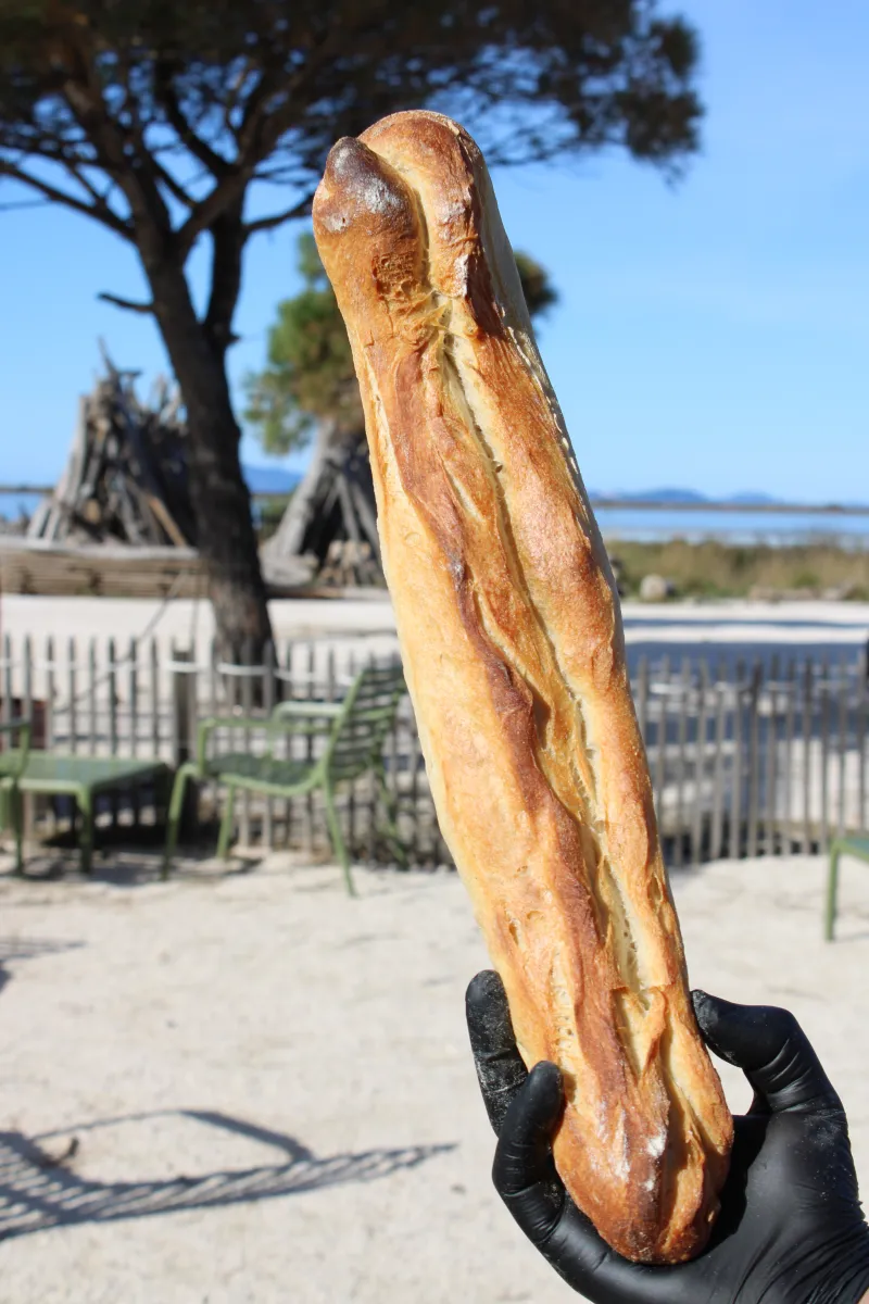BAGUETTE TRADITION