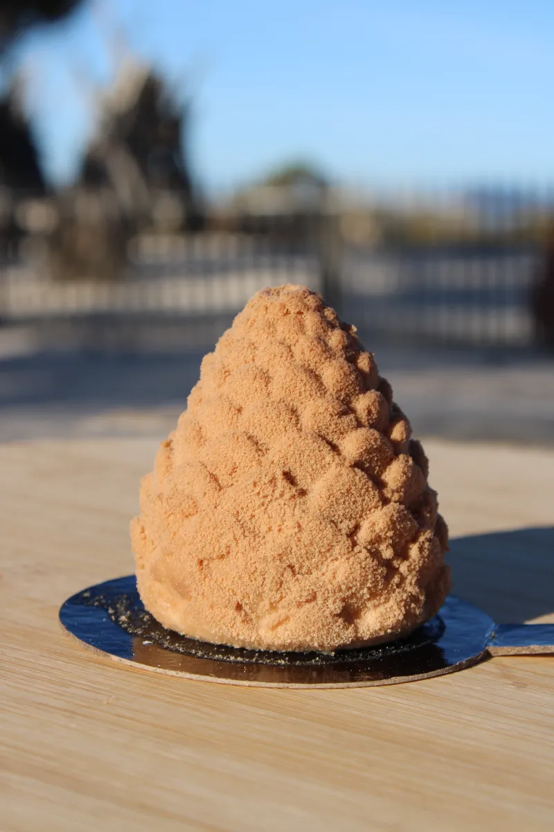 POMME DE PIN